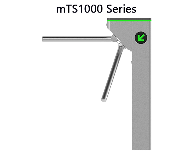 mTS1000