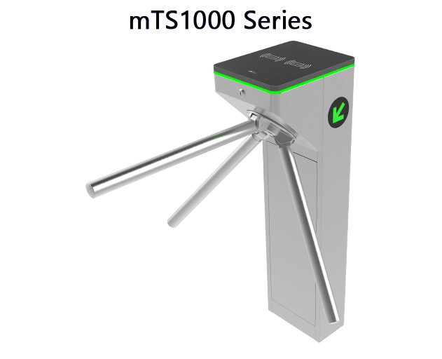 mTS1000